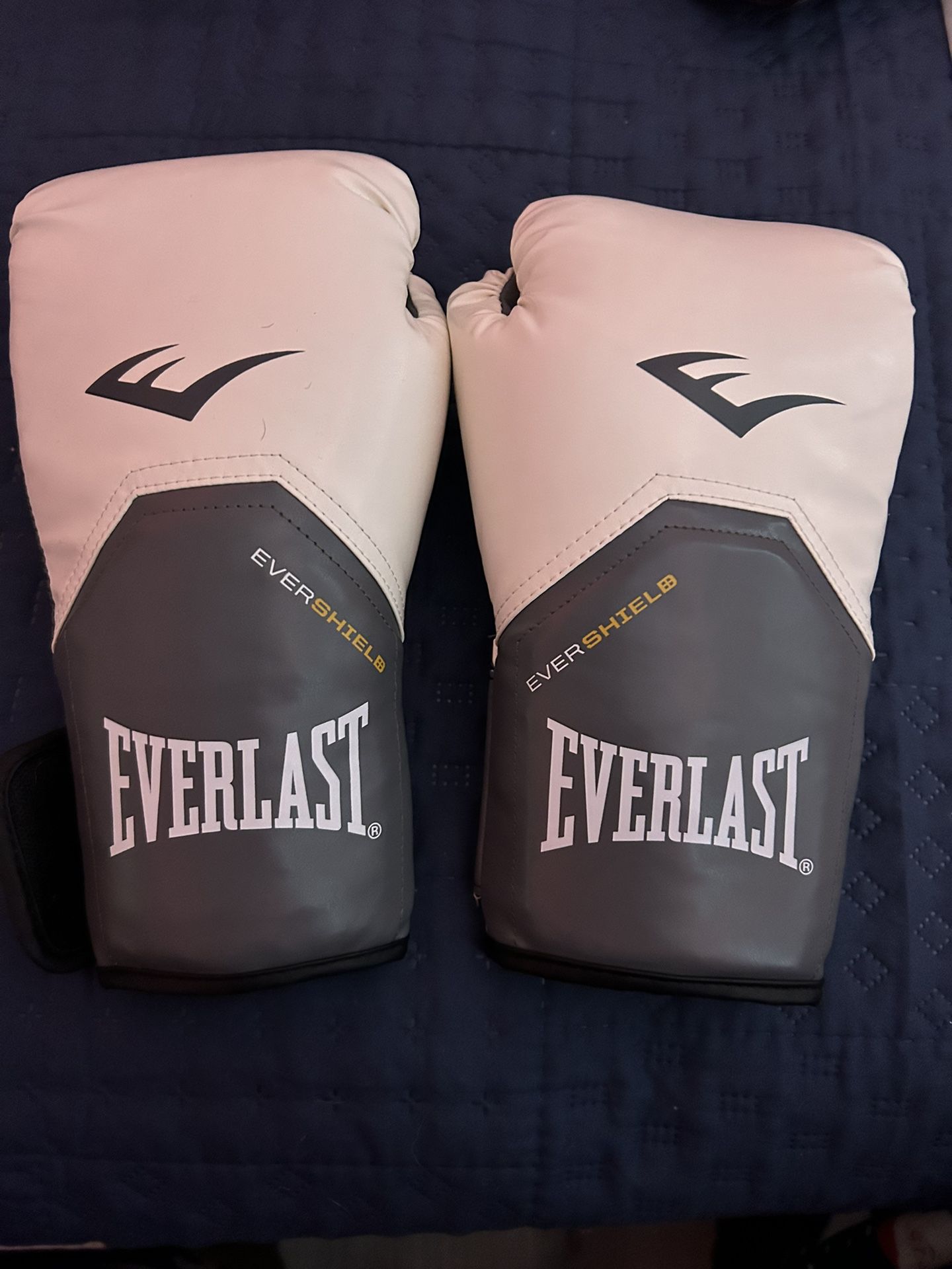 12 Oz Everlast Boxing Gloves