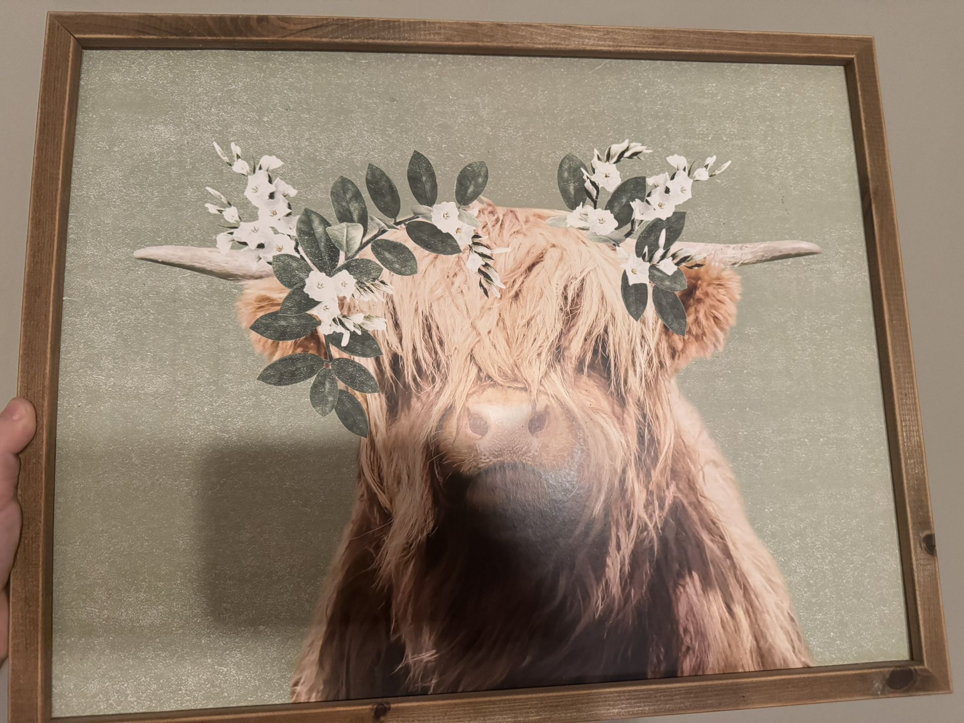 Hobby Lobby Highland Cow Floral Wall Art – Framed Farmhouse Boho Picture –20x16