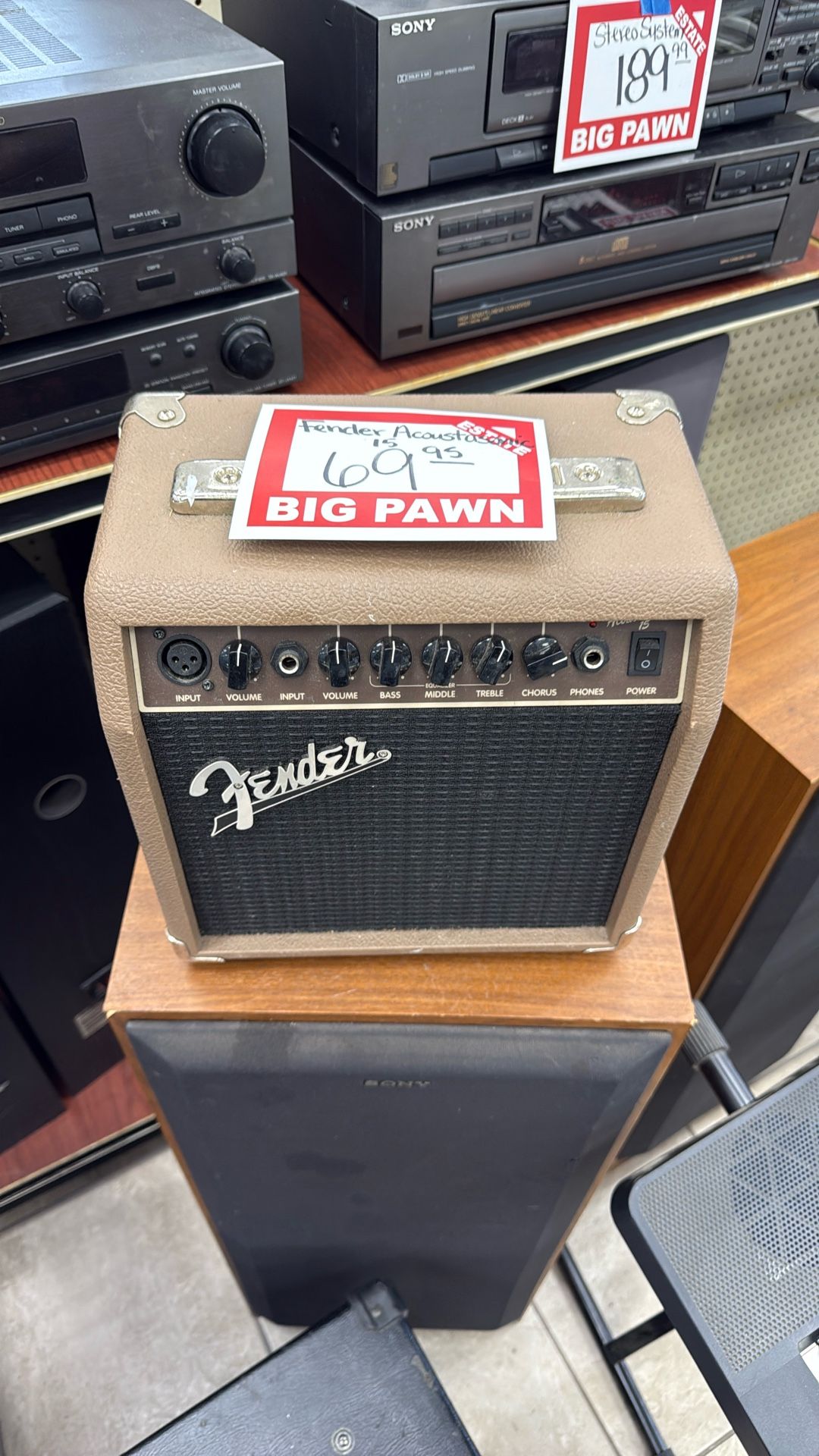 Fender Acoustics Amp Guitar