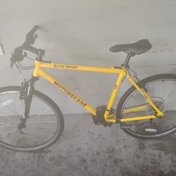 Elite Sport Motobecane 