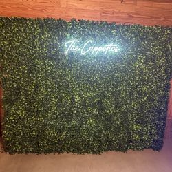 Greenery Wall 6ft Tall 8Ft Wide