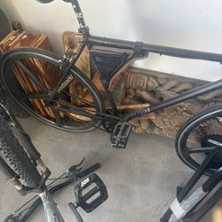 Fixed Gear 