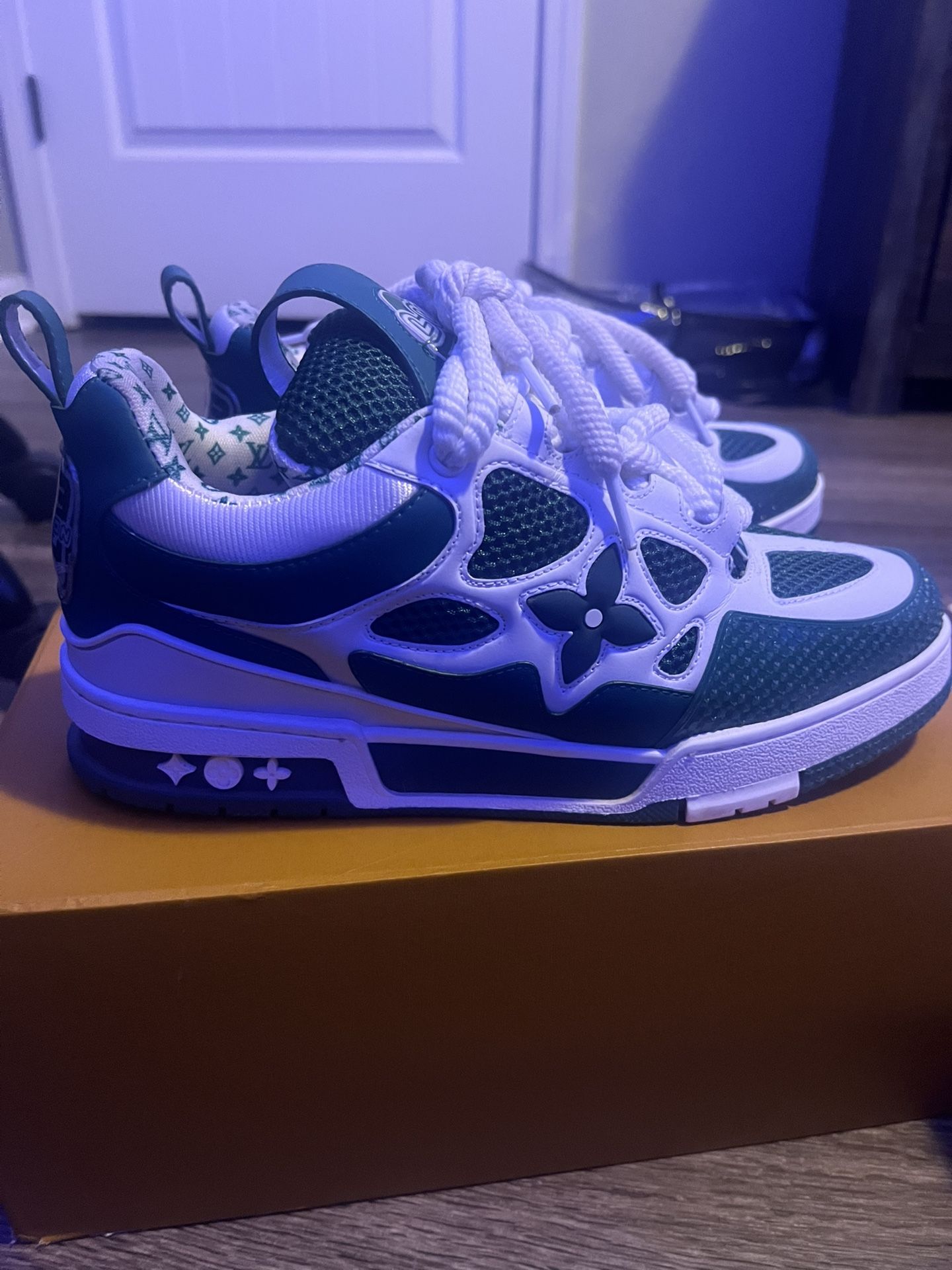 louis vuitton skates 