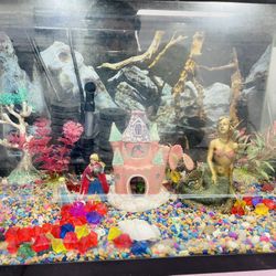 Fish Tank