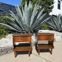 Mid Century Modern Walnut Nightstands - Set of 2 MCM