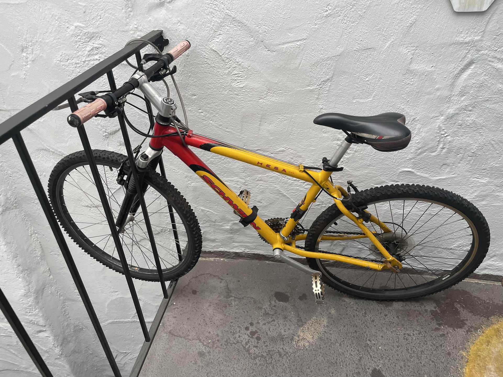 Mountain/Road Bike