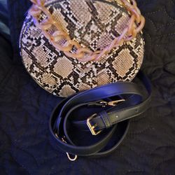 Snake Purse