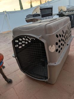 XL petco plastic dog crate/travel kennel