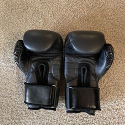 TITLE BOXING GLOVES