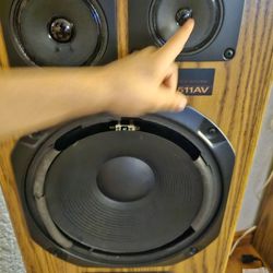 Sony SS-U511AV Speakers