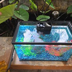 10 Gallon Fish Tank