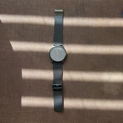 Skagen Watch