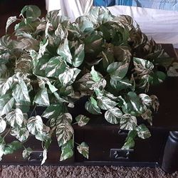 Big Full Artifical Pothos Plant 