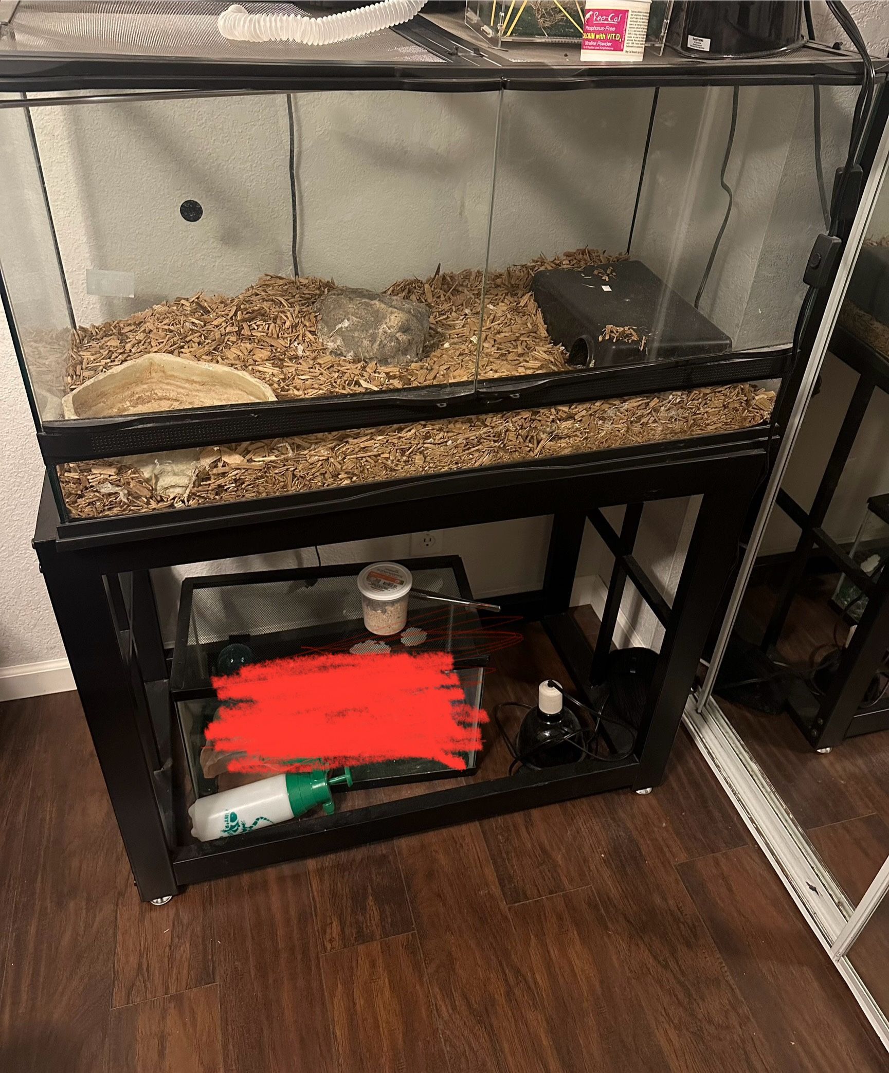 40gal Tank Reptile