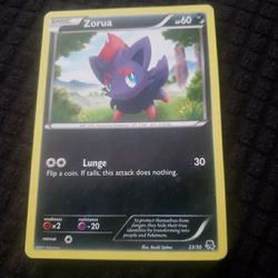 Zorua 2011 Pokemon Cards 