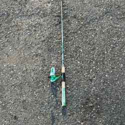 Silver And Green 2-Piece Shakespeare fishing pole