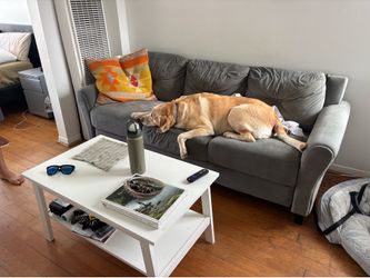 Free Coffee Table and Sofa