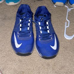 Nike Shoe (Size 9 Men)