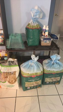 Guinea pig supplies