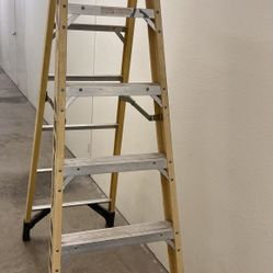Werner Ladder 6’ 