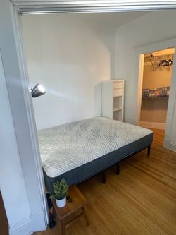 Firm Adjustable Mattress
