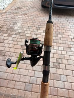 Penn fierce 4000 on ugly stick