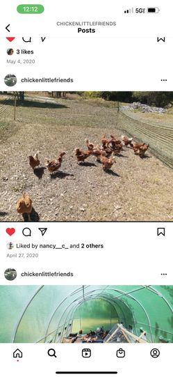 1 Acre Farm Land With Well and Pound Build your dream home