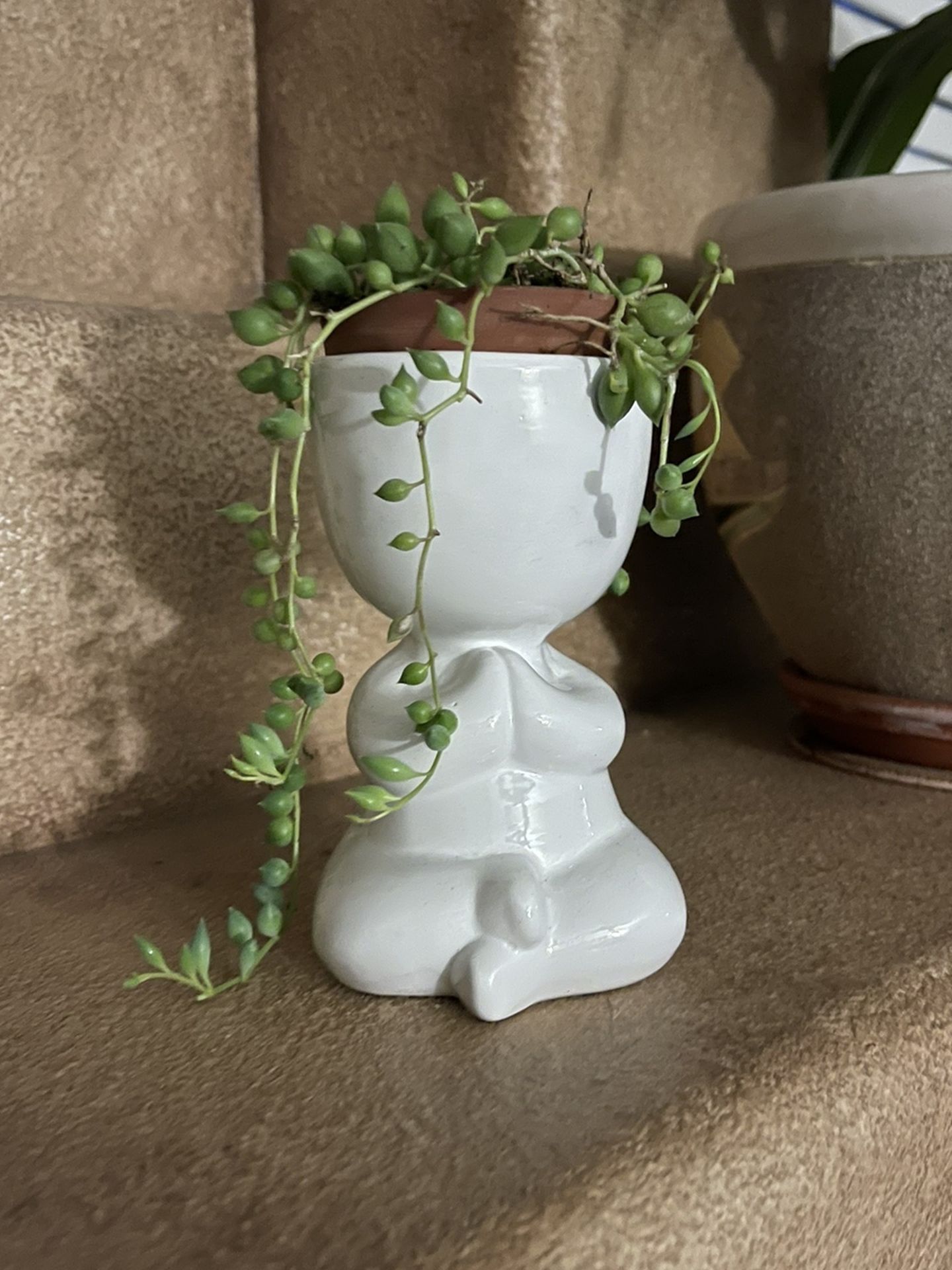 Live String Of Pearls Succulent Ceramic Prayer Meditation Guy With Clay Pot