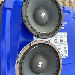 Electric Voice Speakers Ev DL10x  10” 