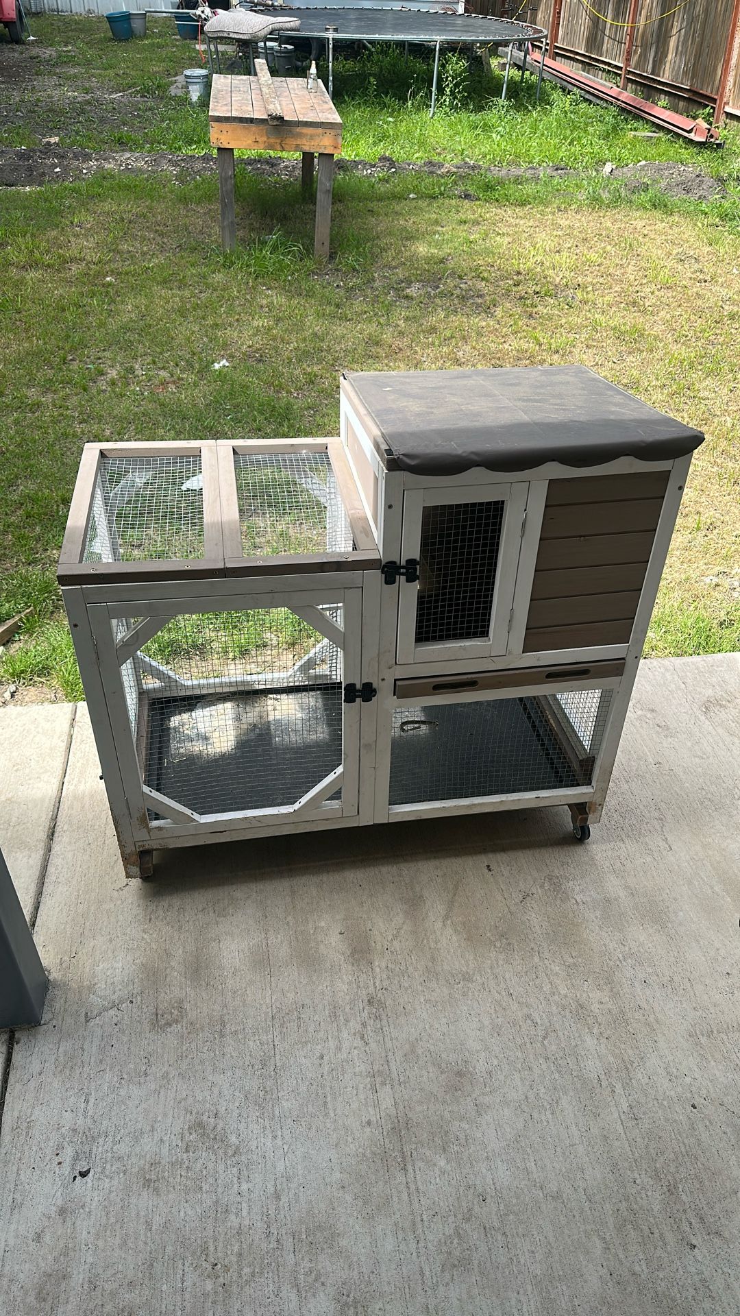 Bunny House