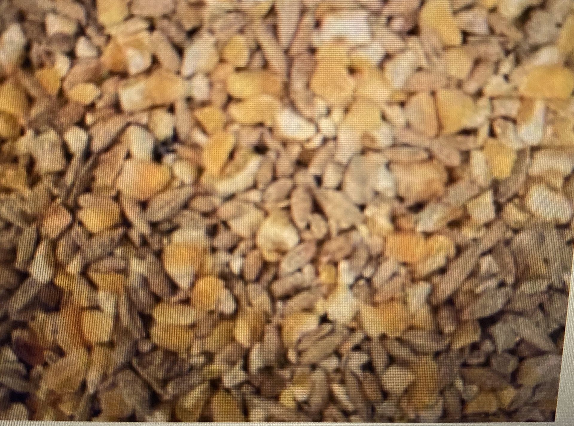 Chicken duck or poultry grain feed 35lb