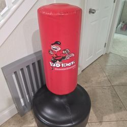 Kid Kick Punching And Kicking Bag