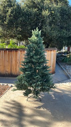 Free Christmas tree
