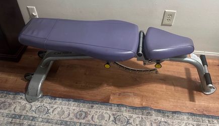 Purple weight bench