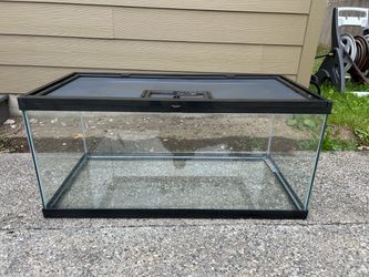 Reptile Tank
