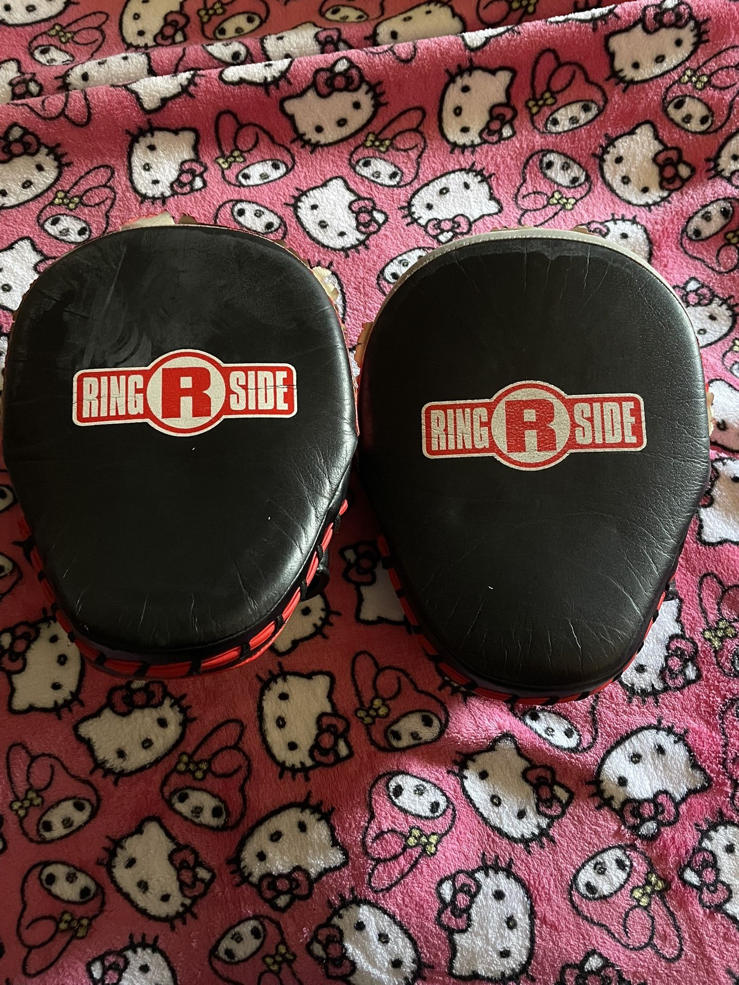 Ringside Panther Boxing Punch Mitts