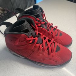 Jordan 6 Toro