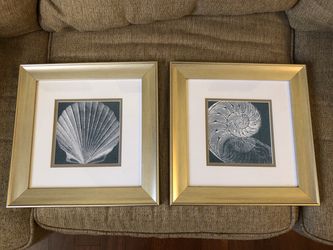 Shell framed pictures