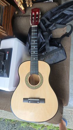 Guitar..pyle pro
