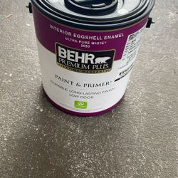 Interior eggshell Paint  ( Light Yellow Color)
