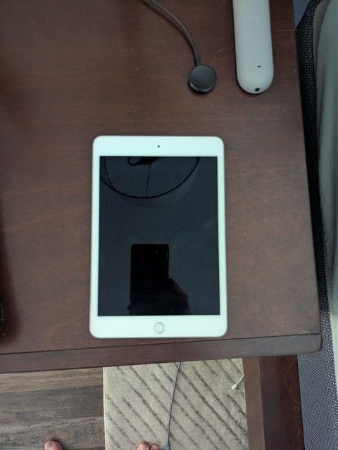 iPad Mini