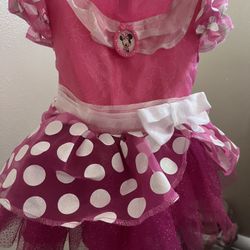 Mini Mouse Costume