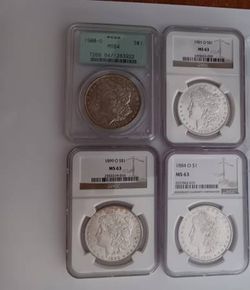 Morgan Silver Dollars
