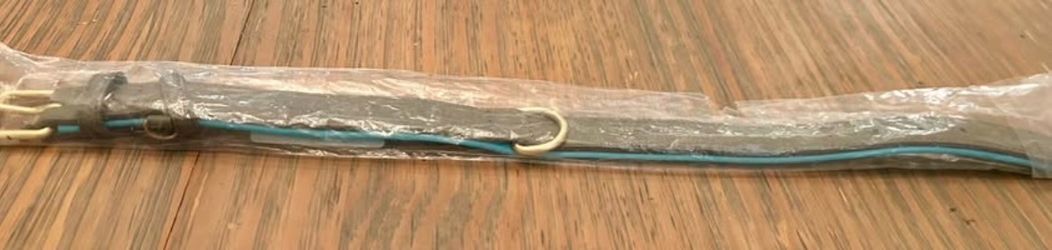 Dog Collar with D-Ring – Teal