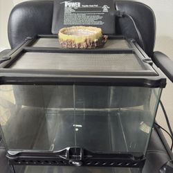 Reptile Tank Setup (10 Gallon)