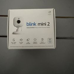 Blink mini 2