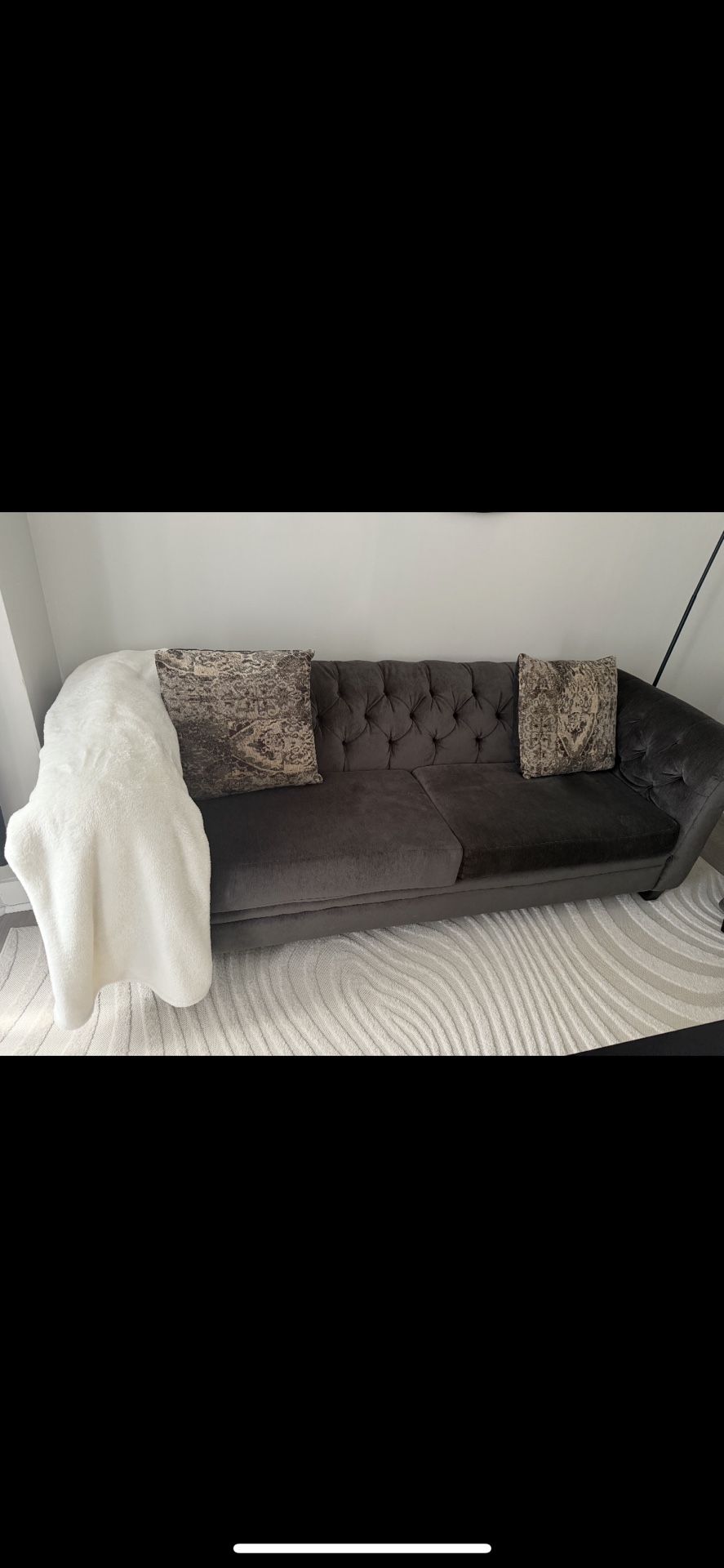 Gray Luxury Couch Set