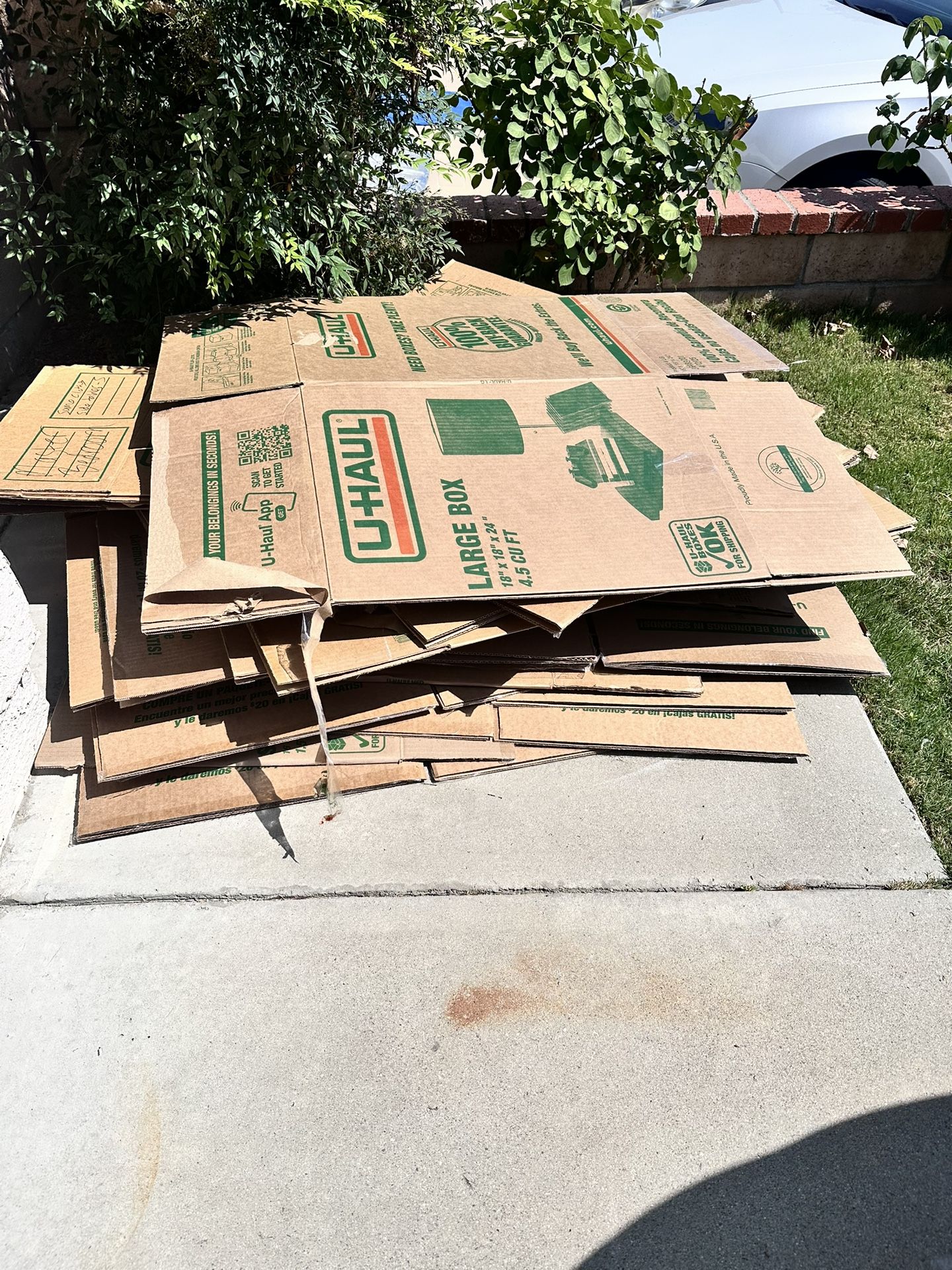 Free Moving Boxes