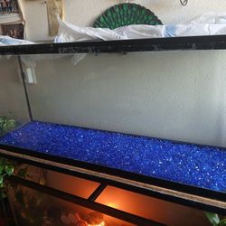 Tetra Glass Aquarium 55 Gallons, Rectangular Fish Tank