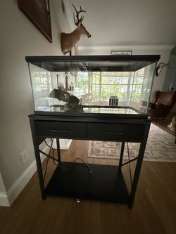 20 gallon turtle tank and stand - MUST GO THIS WEEK